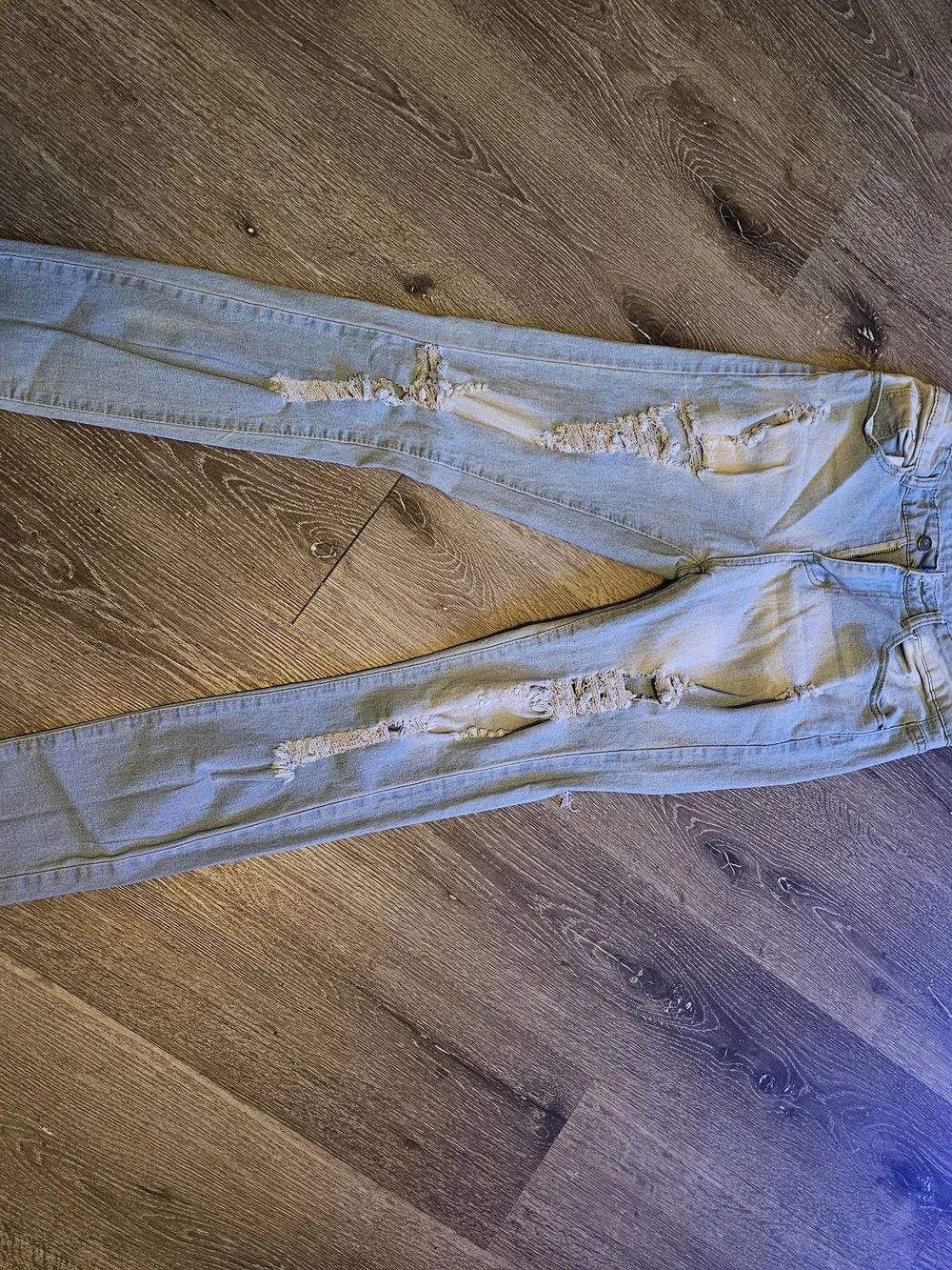 SHEIN stylish light